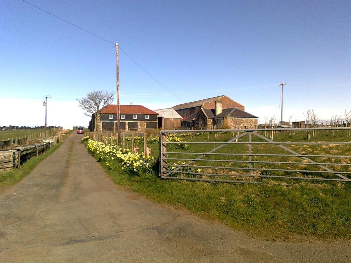 Knightsward Farm Near St Andrews, Scotland Villa Anstruther Exterior photo